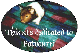 Dedicated to Po-Po