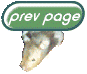 The Rodent
  Ring's Homepage