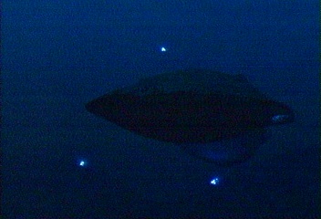 seaQuest on station in the Atlantic, 2021