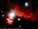 Un detalle de la nebulosa de Ori�n