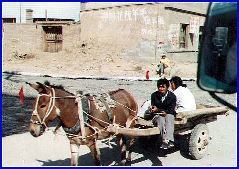 You walk or take a Mule taxi
