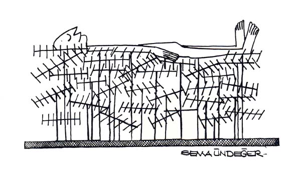 Sema ndeer-6.jpg (52614 bytes)