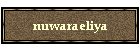 nuwaraeliya