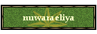nuwaraeliya