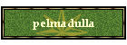 pelmadulla