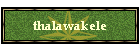 thalawakele