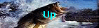 Up