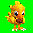 chocobo