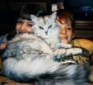 Shura the (tom)cat