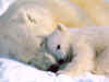 bedtime.jpg (65574 bytes)