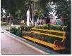 Parque central