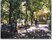 Parque central