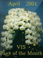 DAR ORCHID, designed by Mary Marshall, VIS Committee