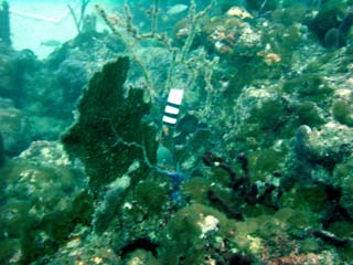 Dsc00025