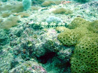 Dsc00050