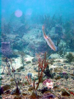 Dsc00097