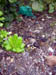 Dsc00010