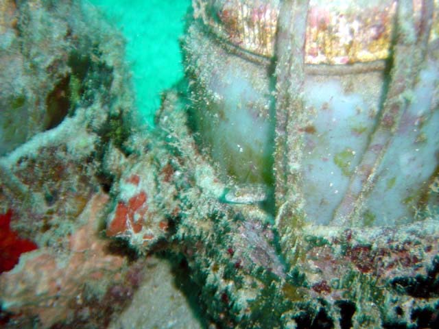 Dsc00006