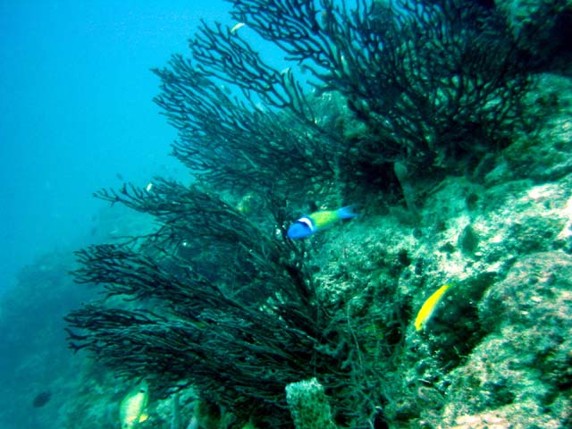 Dsc00031