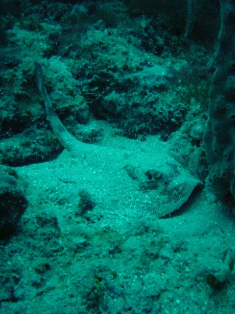 Dsc00037