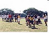 035.jpg