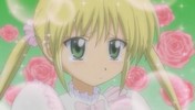 Hayate no Gotoku