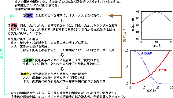 ������Ƒ傫�߂� GIF File �ł��́A���΂炭���҂�������....