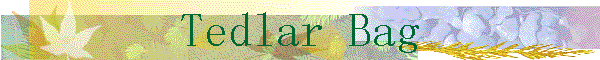 Tedlar Bag