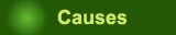 Causes of Pollution