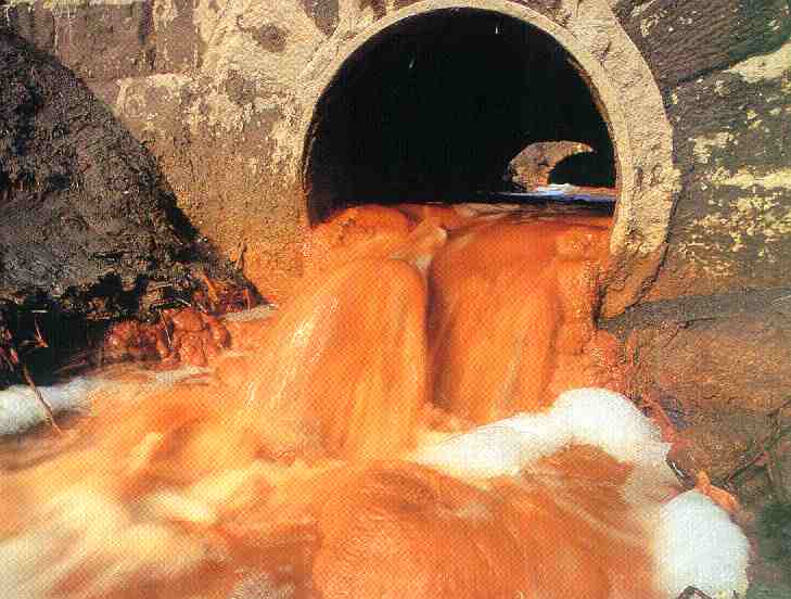 Water Pollution