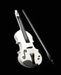3D violin
