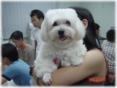 doggy~~