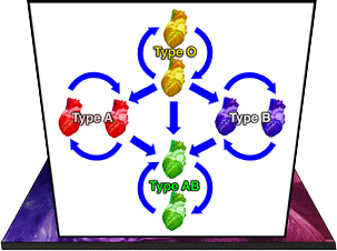 blood types