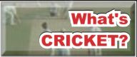 What's CRICKET?