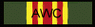 Advance War College Ribbon