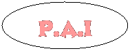 Oval: P.A.I
