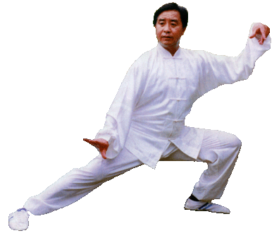 Tiancai-Taichi.com