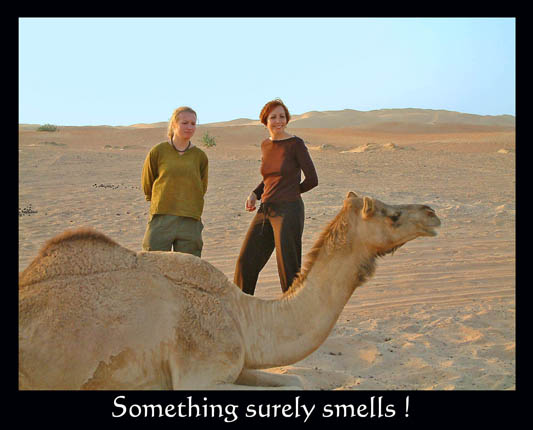 Camel_Smells
