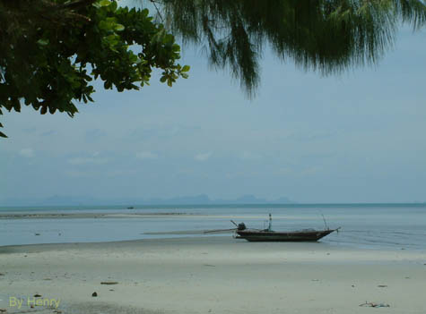 Serenity
