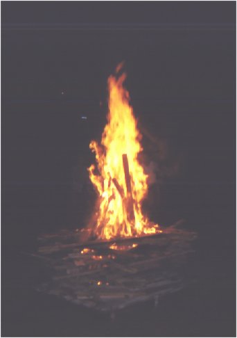 fire.jpg (13714 bytes)