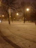 dsc00517