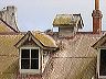 craigsfamily2002_053