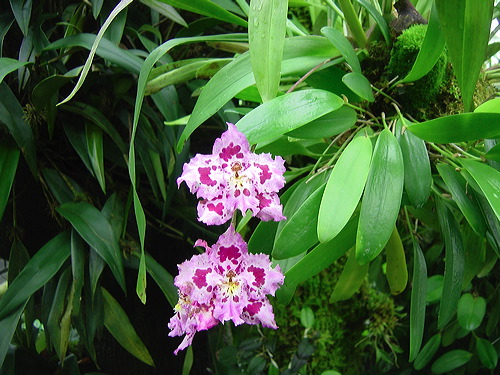 dsc01624.jpg