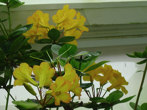 dsc01625.jpg