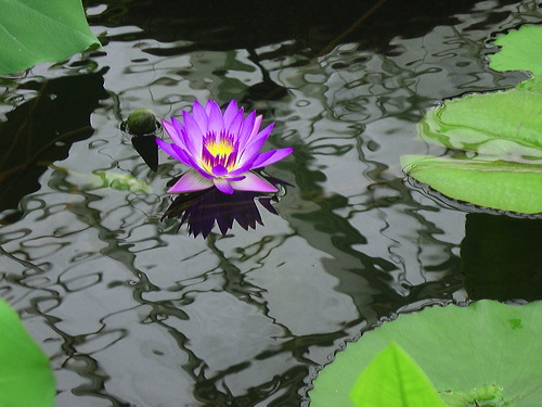 dsc01627.jpg
