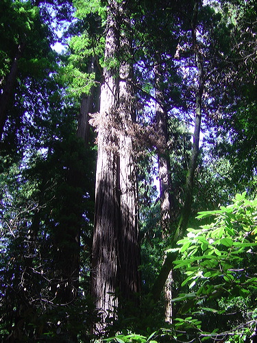 dsc01038.jpg