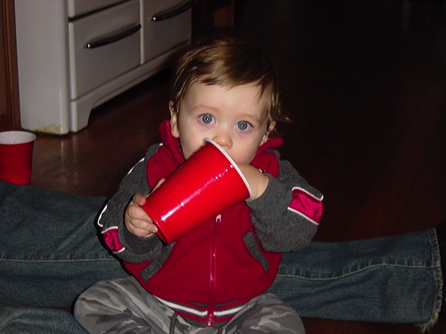 dsc01695.jpg