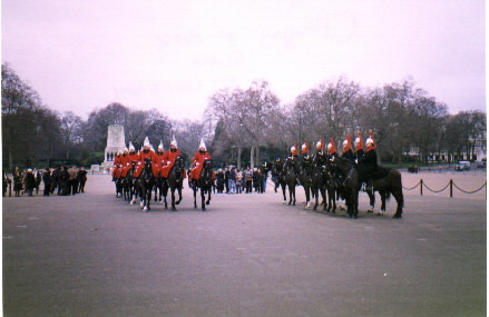 horseguard5