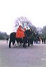 changingofthehorse_