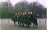 horseguardsatwhitehall